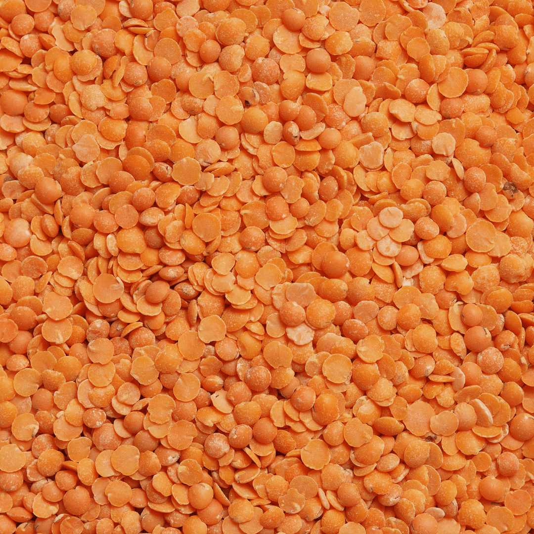 Red Lentils (Masoor Dal)