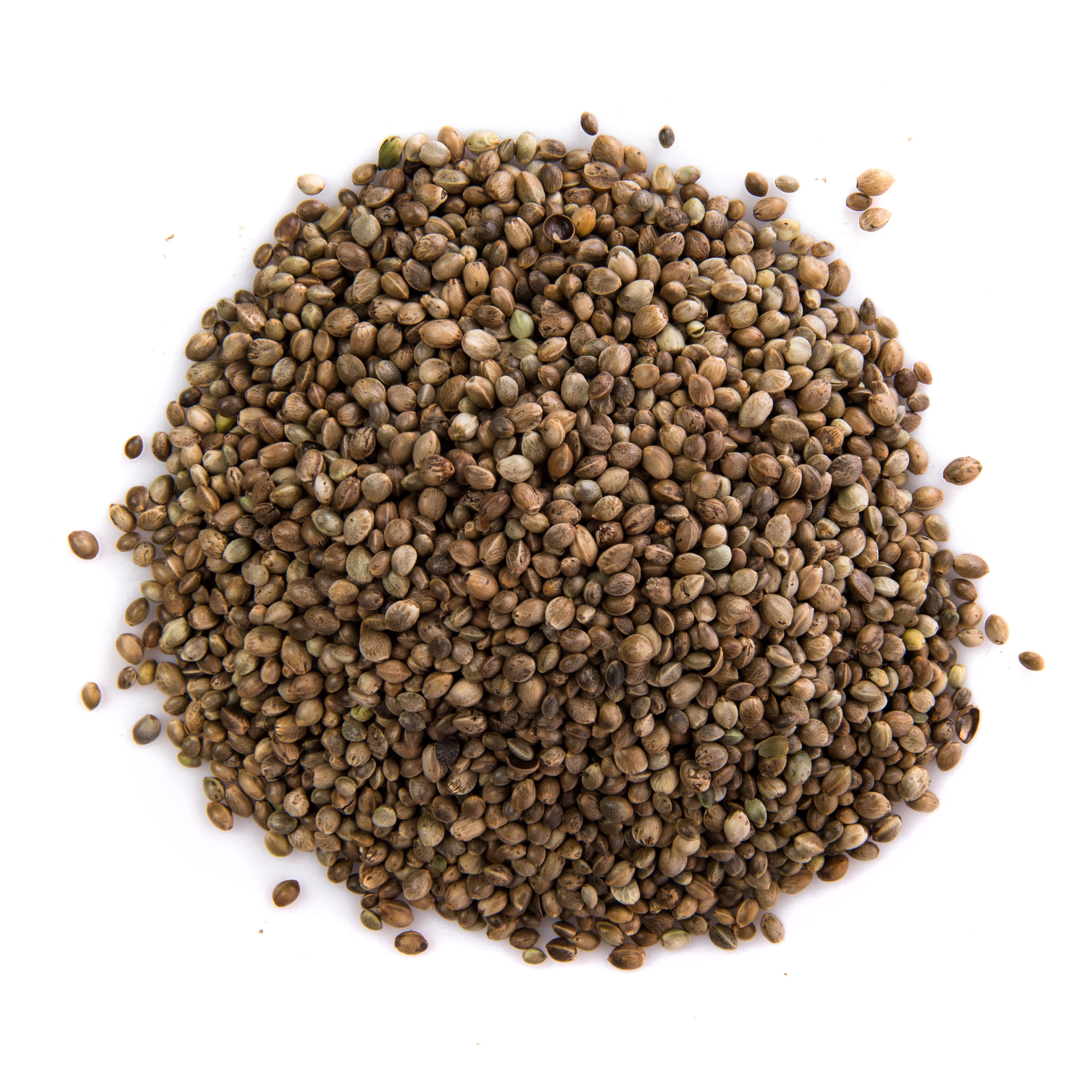 Coriander Seeds